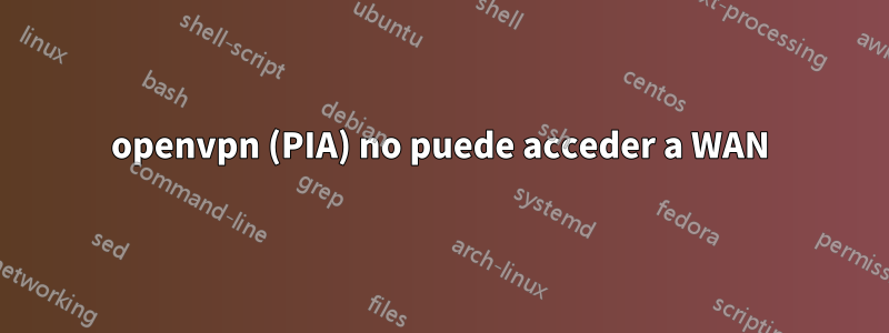 openvpn (PIA) no puede acceder a WAN