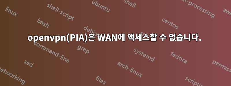 openvpn(PIA)은 WAN에 액세스할 수 없습니다.