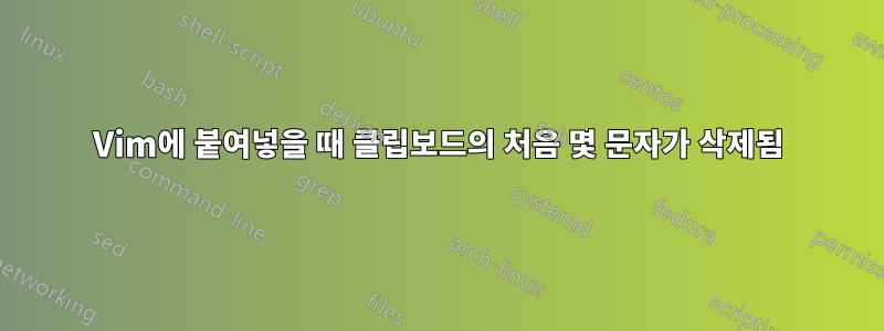 Vim에 붙여넣을 때 클립보드의 처음 몇 문자가 삭제됨