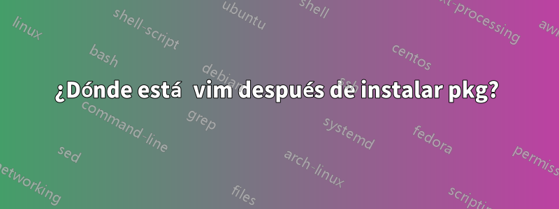 ¿Dónde está vim después de instalar pkg?