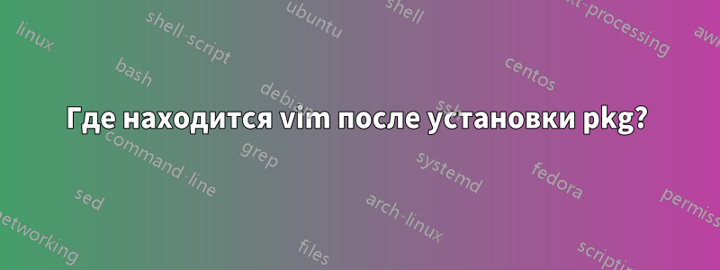 Где находится vim после установки pkg?