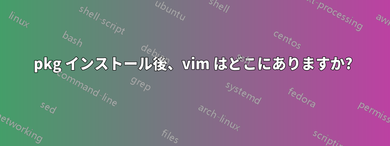 pkg インストール後、vim はどこにありますか?