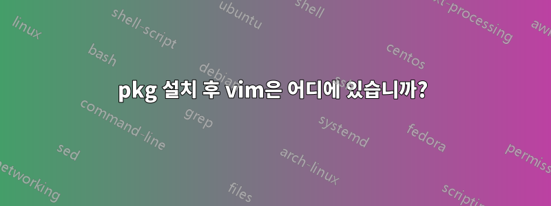 pkg 설치 후 vim은 어디에 있습니까?