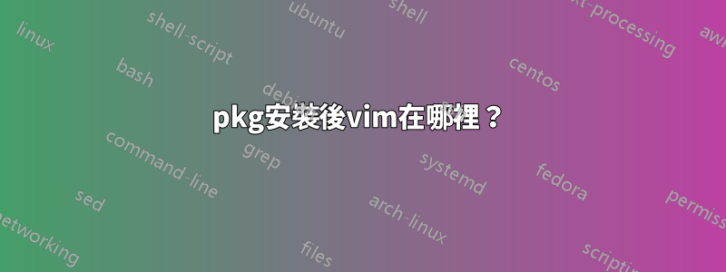 pkg安裝後vim在哪裡？