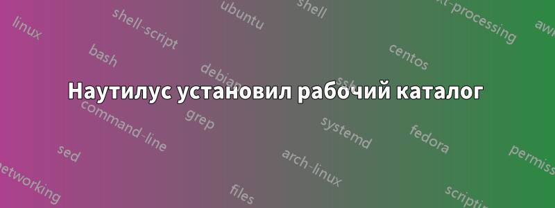 Наутилус установил рабочий каталог