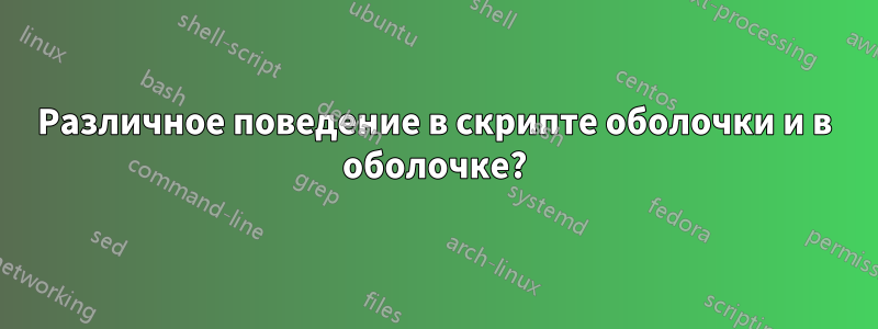 Различное поведение в скрипте оболочки и в оболочке?