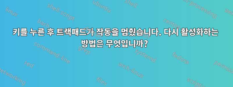 키를 누른 후 트랙패드가 작동을 멈췄습니다. 다시 활성화하는 방법은 무엇입니까? 