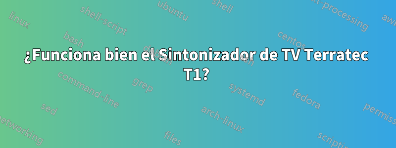 ¿Funciona bien el Sintonizador de TV Terratec T1?