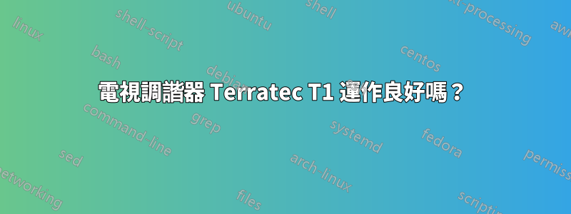 電視調諧器 Terratec T1 運作良好嗎？
