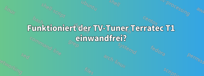 Funktioniert der TV-Tuner Terratec T1 einwandfrei?