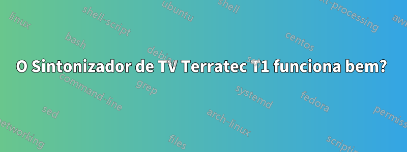 O Sintonizador de TV Terratec T1 funciona bem?
