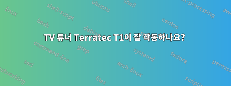 TV 튜너 Terratec T1이 잘 작동하나요?