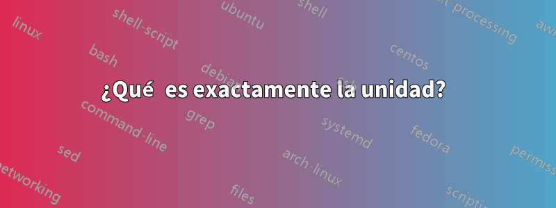 ¿Qué es exactamente la unidad? 