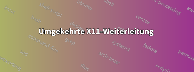 Umgekehrte X11-Weiterleitung