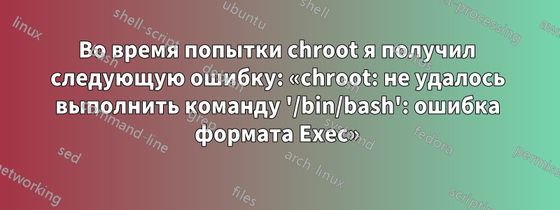 Во время попытки chroot я получил следующую ошибку: «chroot: не удалось выполнить команду '/bin/bash': ошибка формата Exec»