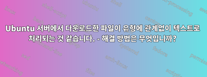 Ubuntu 서버에서 다운로드한 파일이 유형에 관계없이 텍스트로 처리되는 것 같습니다. - 해결 방법은 무엇입니까?