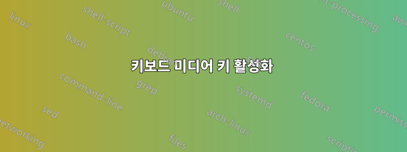 키보드 미디어 키 활성화