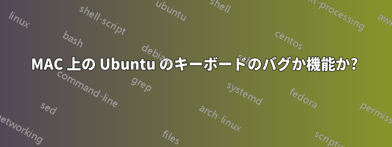 MAC 上の Ubuntu のキーボードのバグか機能か?