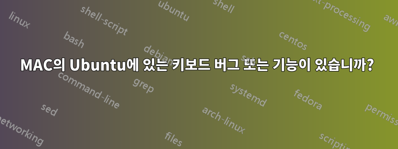 MAC의 Ubuntu에 있는 키보드 버그 또는 기능이 있습니까?