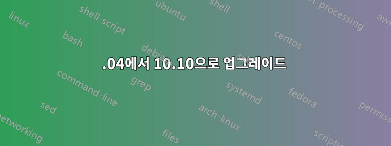 10.04에서 10.10으로 업그레이드