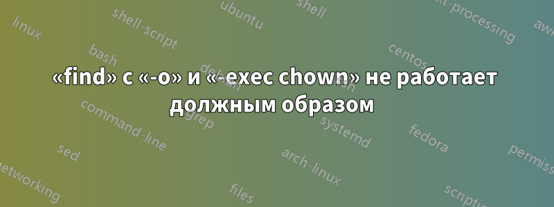 «find» с «-o» и «-exec chown» не работает должным образом 