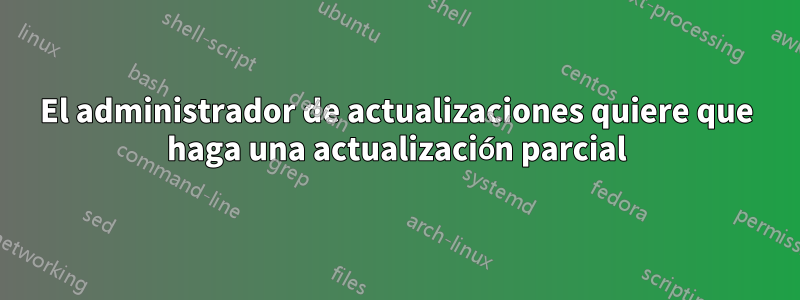 El administrador de actualizaciones quiere que haga una actualización parcial