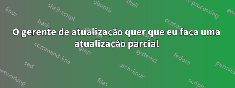 O gerente de atualização quer que eu faça uma atualização parcial