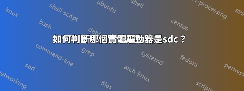 如何判斷哪個實體驅動器是sdc？ 