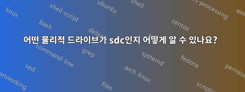 어떤 물리적 드라이브가 sdc인지 어떻게 알 수 있나요? 