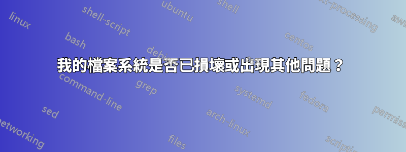 我的檔案系統是否已損壞或出現其他問題？