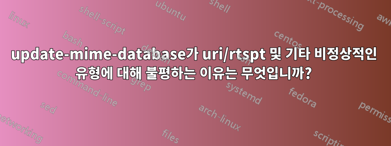 update-mime-database가 uri/rtspt 및 기타 비정상적인 유형에 대해 불평하는 이유는 무엇입니까?