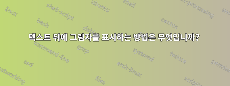텍스트 뒤에 그림자를 표시하는 방법은 무엇입니까?