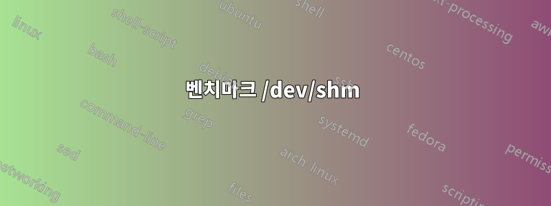 벤치마크 /dev/shm