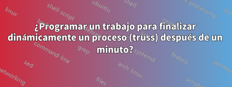 ¿Programar un trabajo para finalizar dinámicamente un proceso (truss) después de un minuto?
