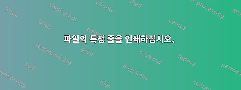 파일의 특정 줄을 인쇄하십시오.