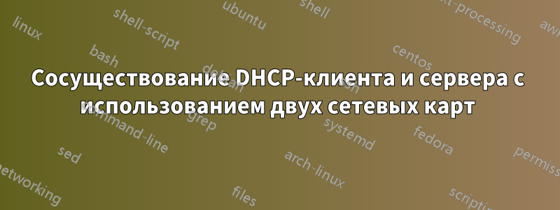 Сосуществование DHCP-клиента и сервера с использованием двух сетевых карт