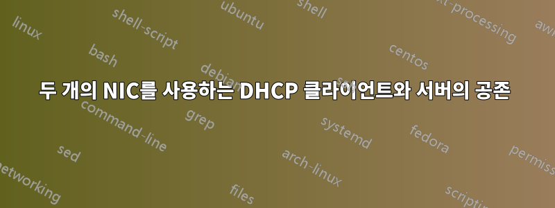 두 개의 NIC를 사용하는 DHCP 클라이언트와 서버의 공존