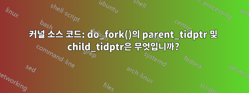 커널 소스 코드: do_fork()의 parent_tidptr 및 child_tidptr은 무엇입니까?