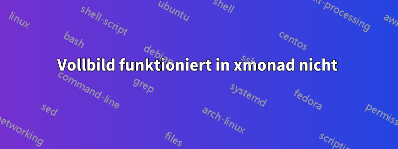 Vollbild funktioniert in xmonad nicht