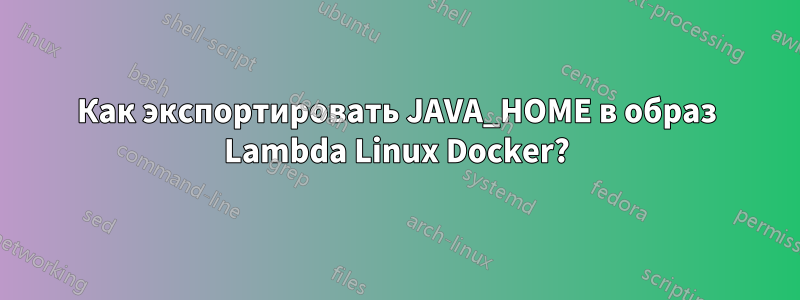 Как экспортировать JAVA_HOME в образ Lambda Linux Docker?