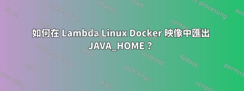 如何在 Lambda Linux Docker 映像中匯出 JAVA_HOME？