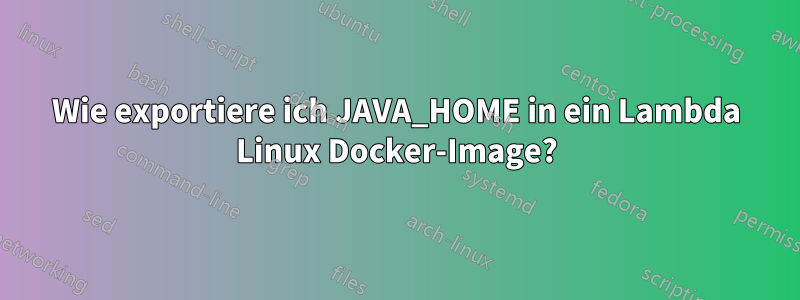 Wie exportiere ich JAVA_HOME in ein Lambda Linux Docker-Image?