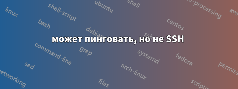 может пинговать, но не SSH