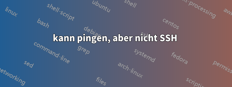 kann pingen, aber nicht SSH