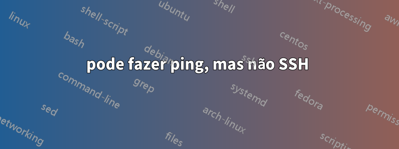 pode fazer ping, mas não SSH