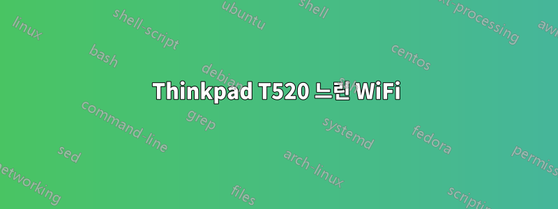 Thinkpad T520 느린 WiFi