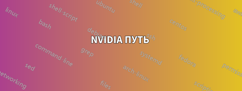 NVIDIA ПУТЬ