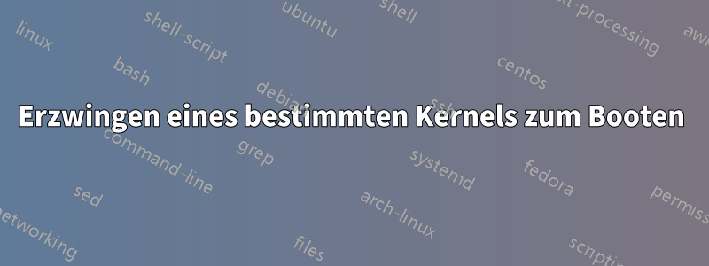 Erzwingen eines bestimmten Kernels zum Booten