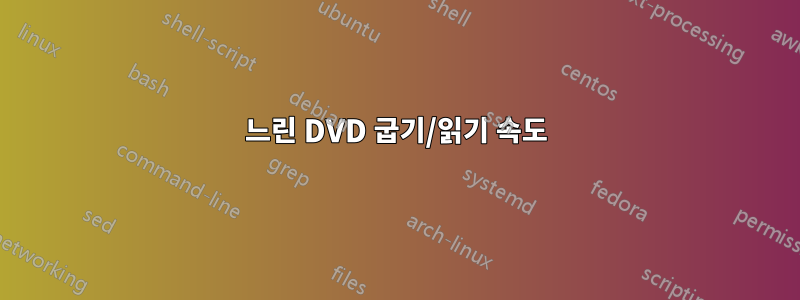 느린 DVD 굽기/읽기 속도