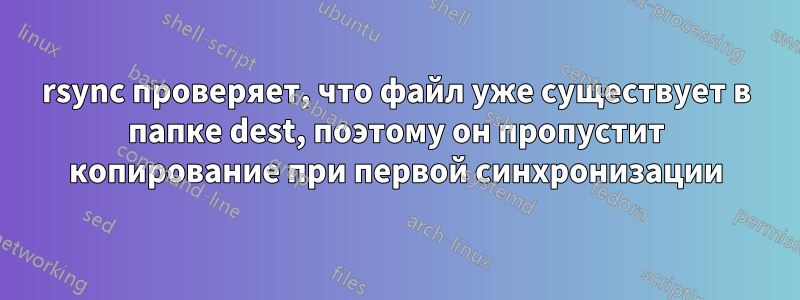 rsync проверяет, что файл уже существует в папке dest, поэтому он пропустит копирование при первой синхронизации